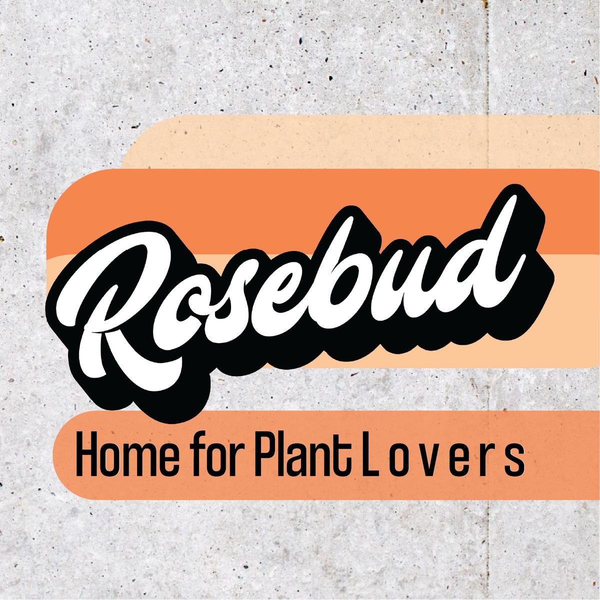 Rosebud HomeGoods Review 2026: Is Rosebud HomeGoods Worth It? We Break Down 8 Best-Sellers