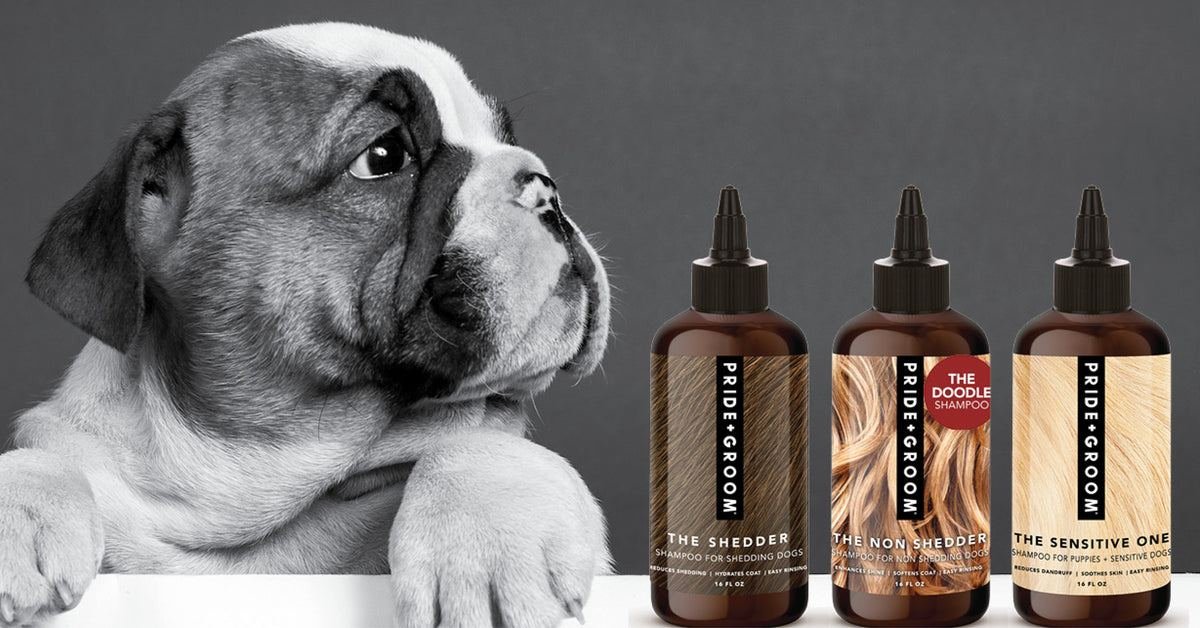 Pride+Groom Review 2026: Is Pride+Groom Worth It? We Break Down 7 Best-Sellers