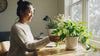 House Plant Shop Review 2026: Is House Plant Shop Worth It? We Break Down 3 Best-Sellers