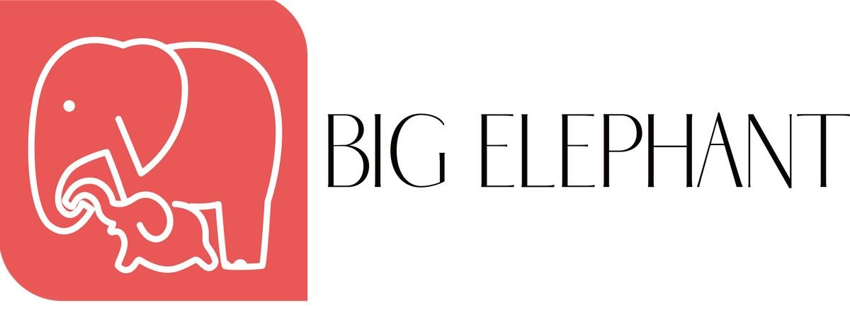 Big Elephant Review 2026: Is Big Elephant Worth It? We Break Down 8 Best-Sellers